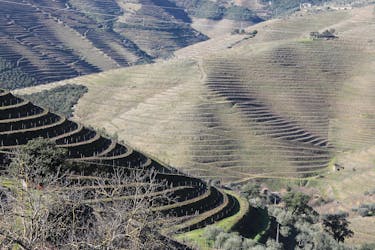 Visite de la vallée du Douro avec dégustation de vins et promenade en bateau